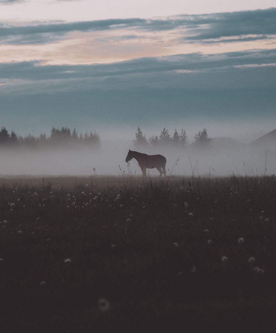 Is Meekness Missing in Your Life and Ministry?