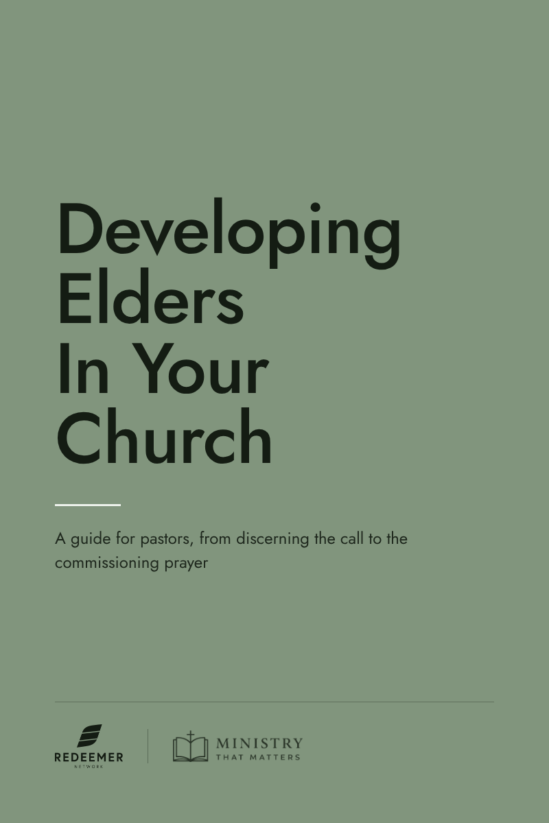 Book cover for Developing Elders In Your Church